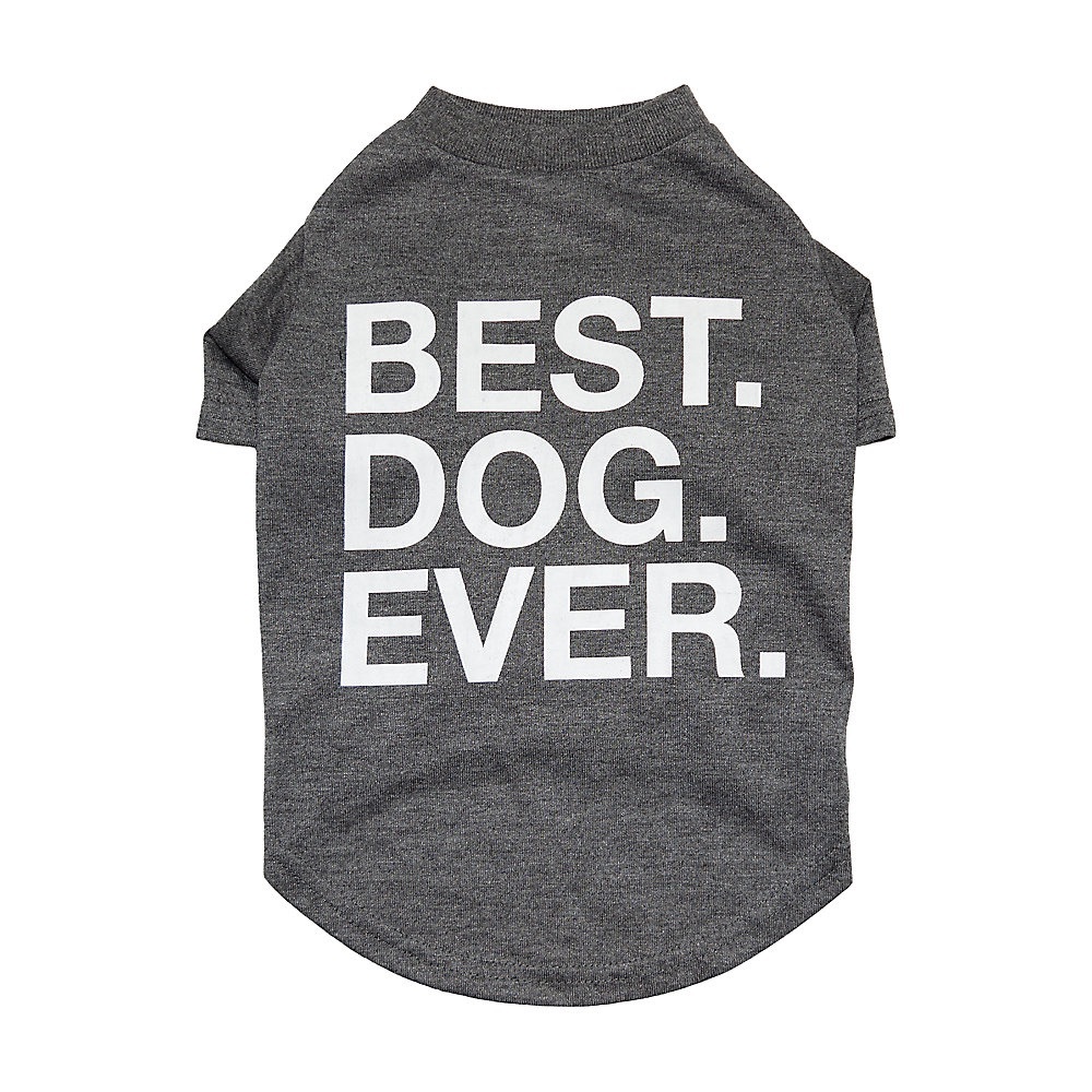 The Best Dog Ever Tee in Gray by Coat and Tails